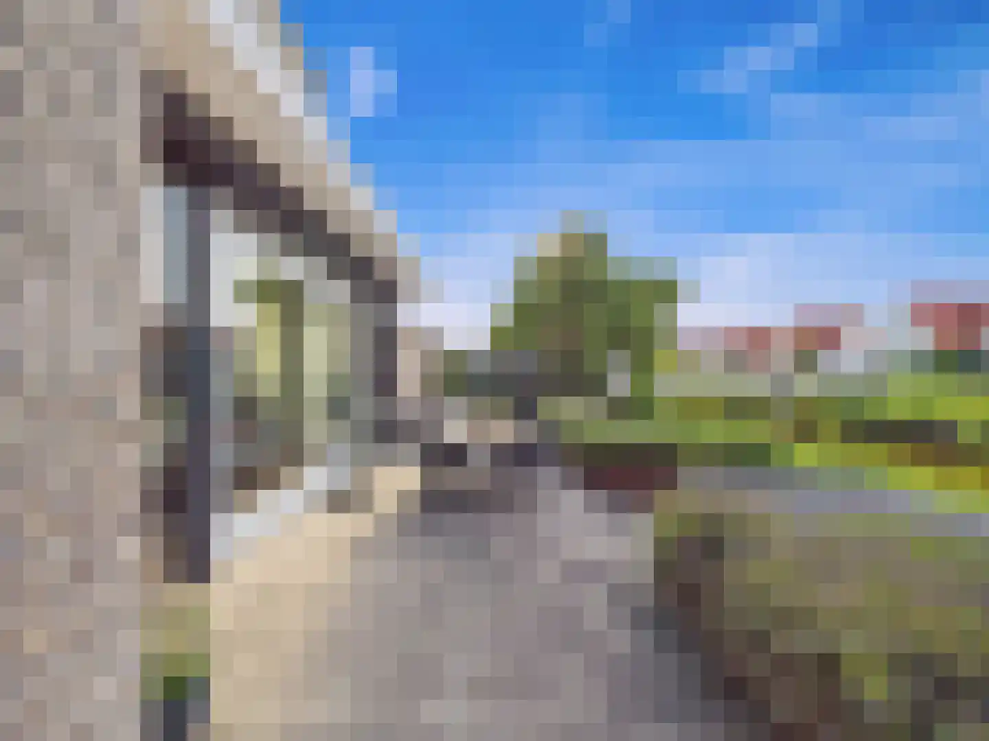 Buizerd 11 Terneuzen thumbnail 58