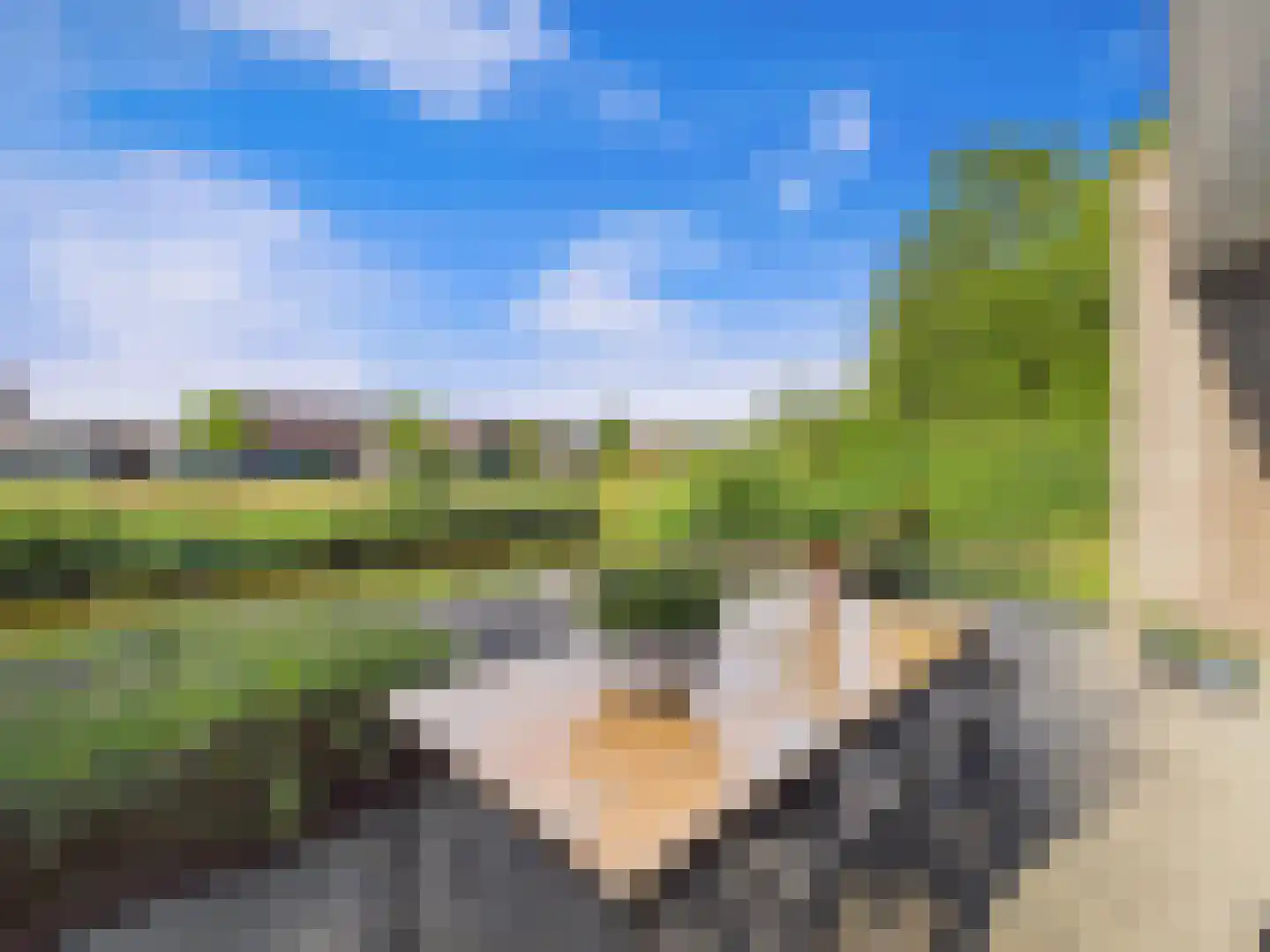Buizerd 11 Terneuzen thumbnail 59
