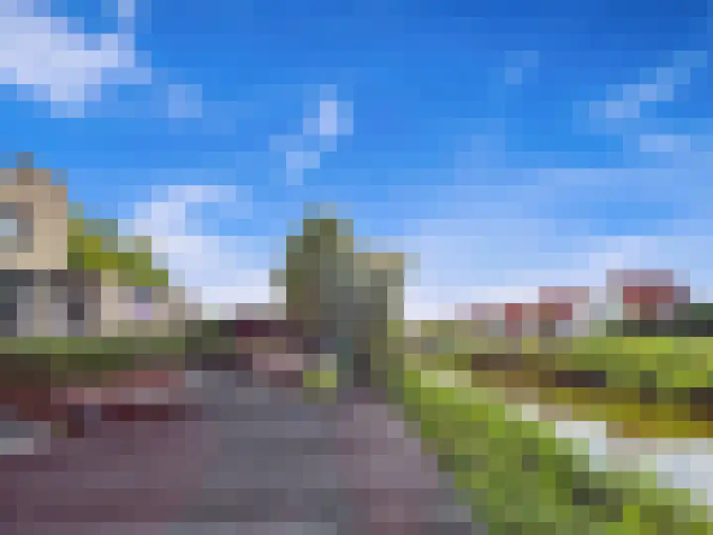 Buizerd 11 Terneuzen thumbnail 61