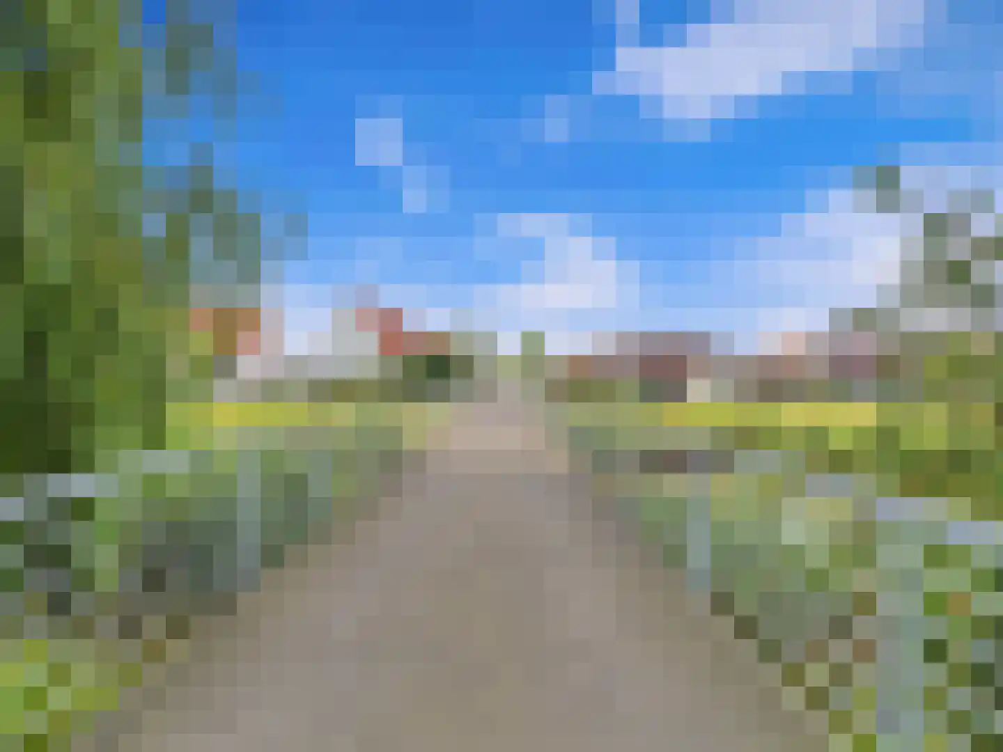 Buizerd 11 Terneuzen thumbnail 63