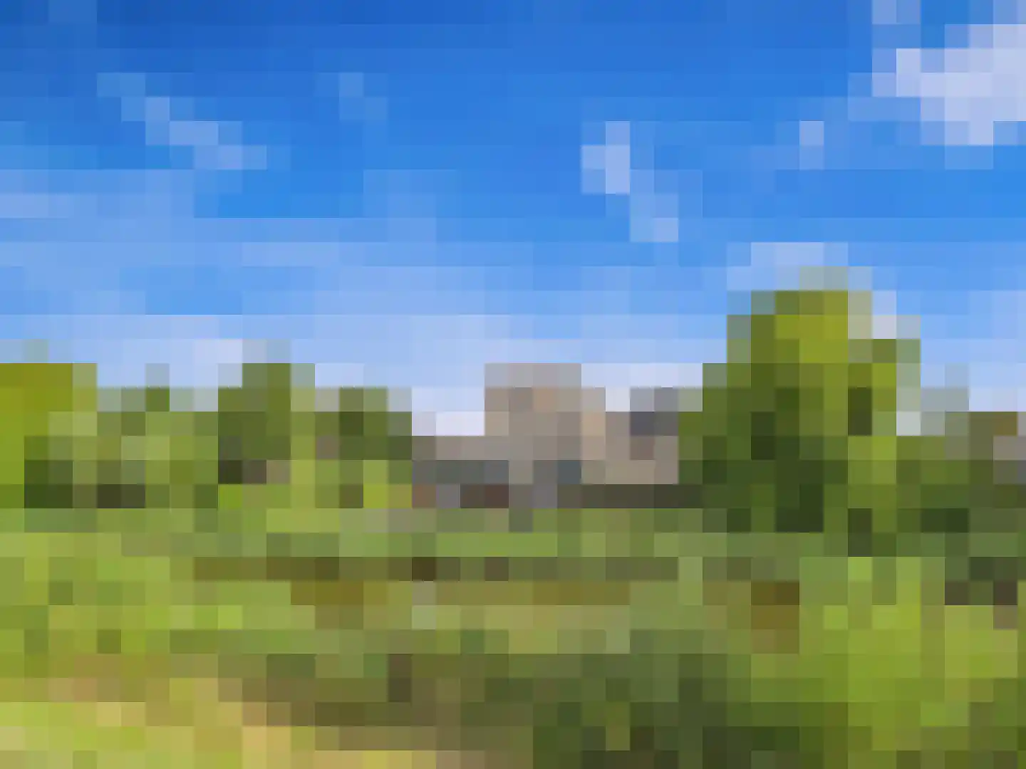Buizerd 11 Terneuzen thumbnail 64