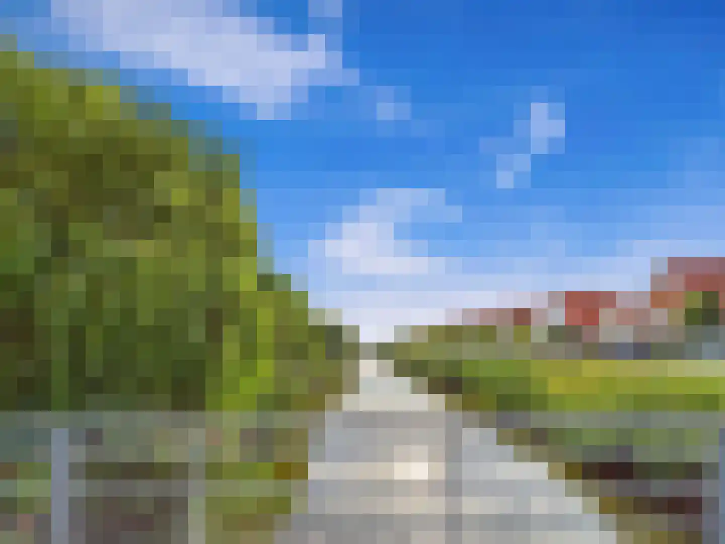 Buizerd 11 Terneuzen thumbnail 66