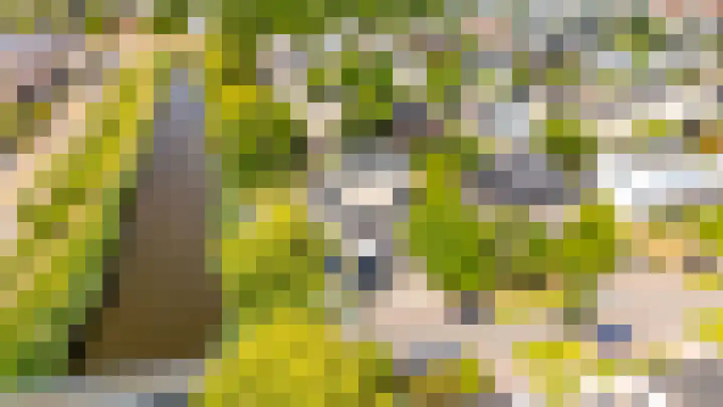 Buizerd 11 Terneuzen thumbnail 68