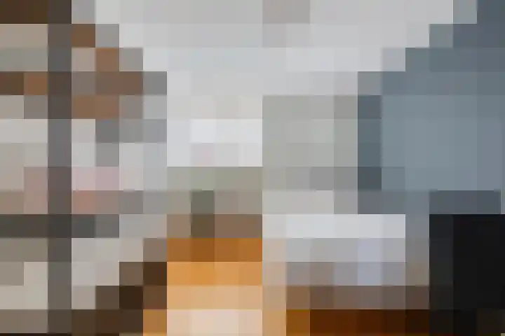 Buizerd 11 Veldhoven thumbnail 28