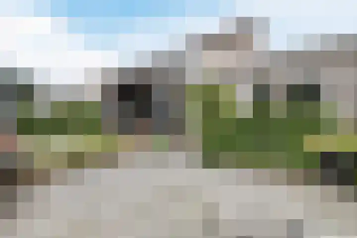 Buizerd 11 Veldhoven thumbnail 37