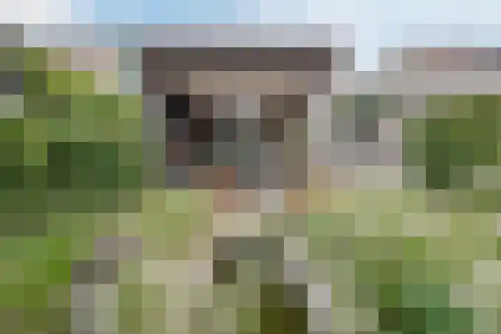 Buizerd 11 Veldhoven thumbnail 38
