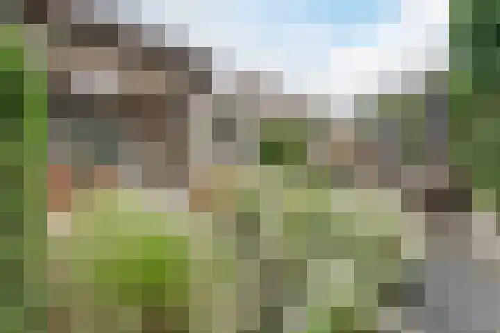 Buizerd 11 Veldhoven thumbnail 39