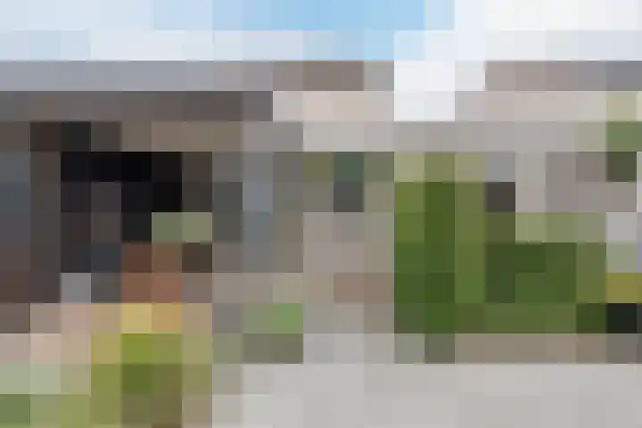 Buizerd 11 Veldhoven thumbnail 40
