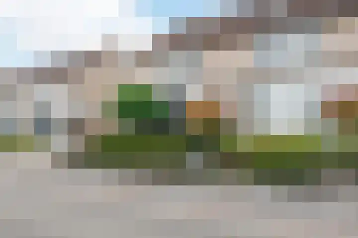 Buizerd 11 Veldhoven thumbnail 42