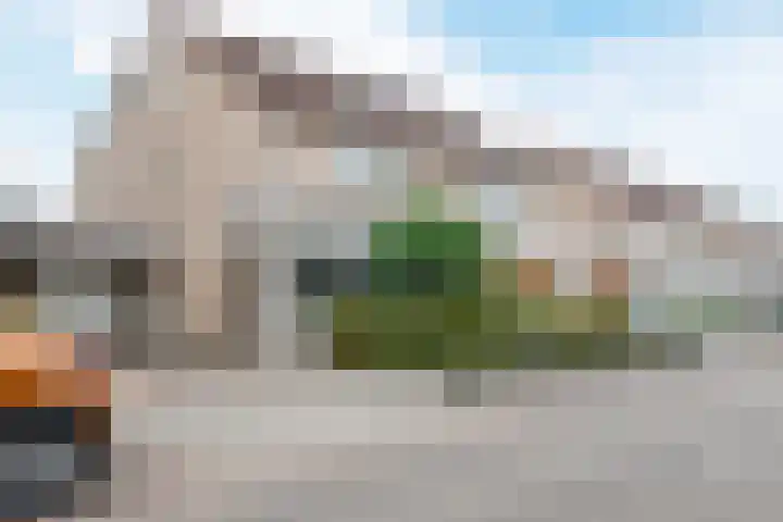 Buizerd 11 Veldhoven thumbnail 43