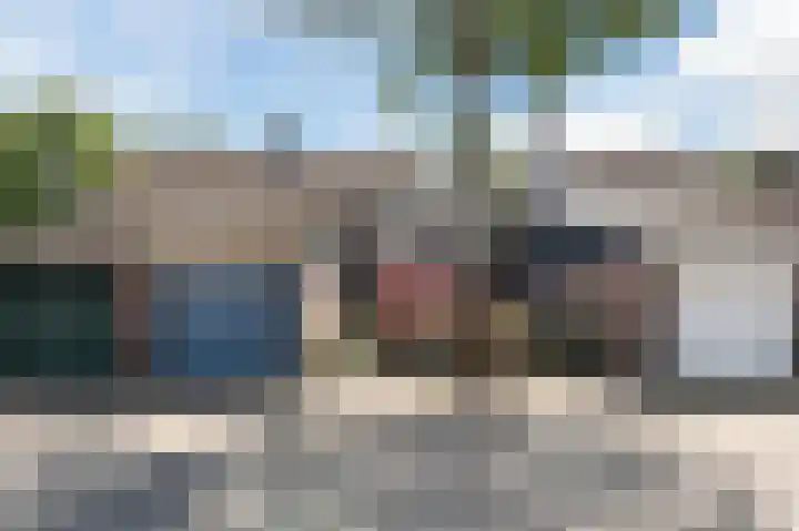 Buizerd 114 Blaricum