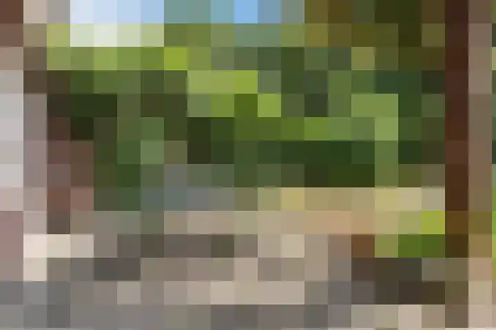 Buizerd 114 Blaricum thumbnail 28