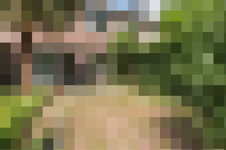 Buizerd 114 Blaricum thumbnail 29