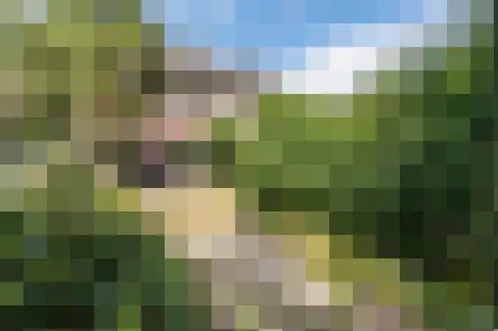 Buizerd 114 Blaricum thumbnail 6