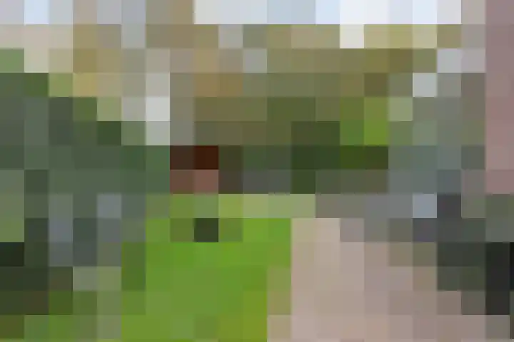 Buizerd 116 Blaricum thumbnail 20