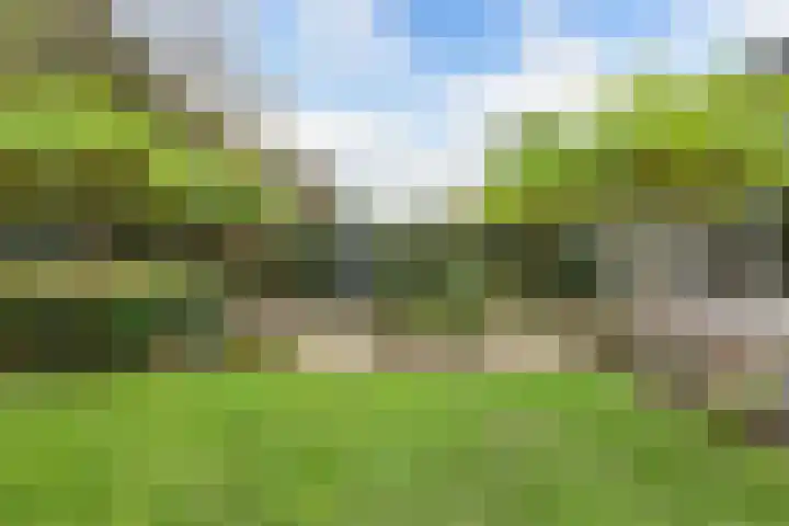 Buizerd 116 Blaricum thumbnail 21