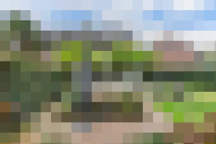Buizerd 116 Blaricum thumbnail 22