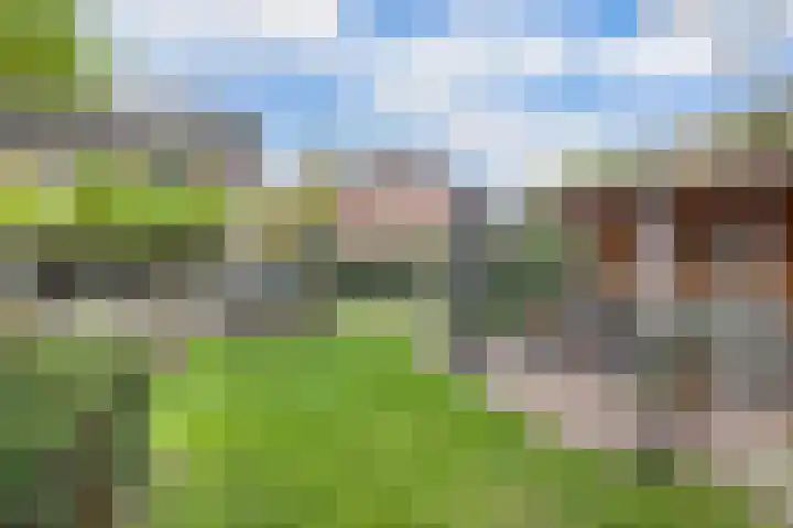 Buizerd 116 Blaricum thumbnail 23