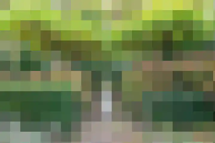 Buizerd 116 Blaricum thumbnail 25