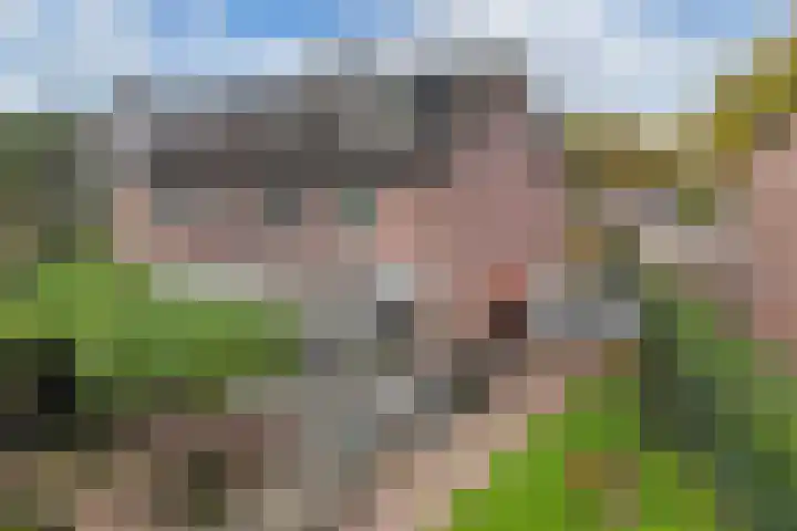 Buizerd 116 Blaricum thumbnail 26