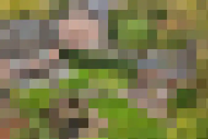 Buizerd 116 Blaricum thumbnail 27
