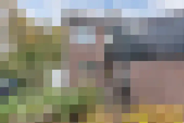 Buizerd 116 Blaricum thumbnail 44