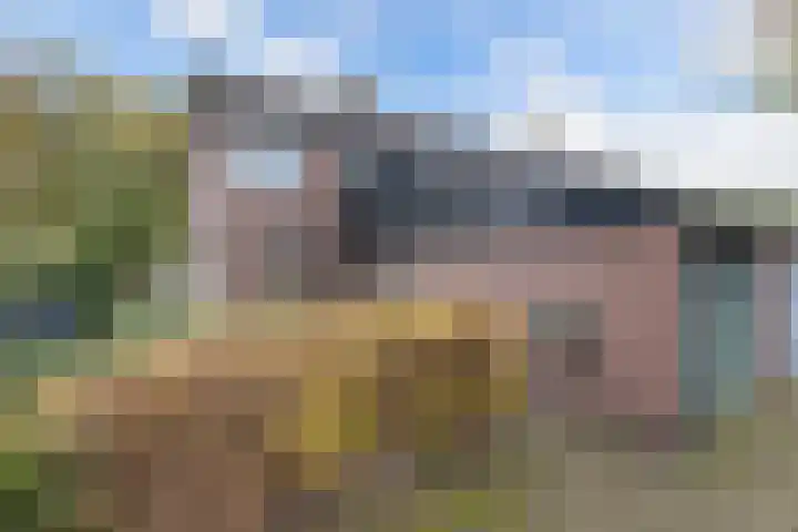 Buizerd 116 Blaricum thumbnail 45