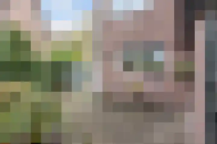 Buizerd 116 Blaricum thumbnail 46