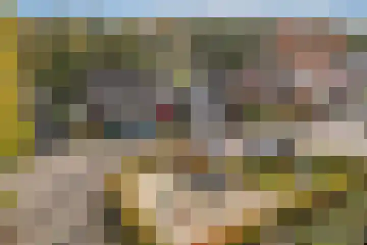 Buizerd 116 Blaricum thumbnail 47