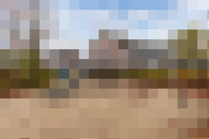 Buizerd 116 Blaricum thumbnail 48