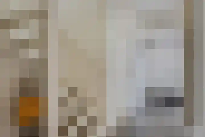 Buizerd 116 Blaricum thumbnail 6