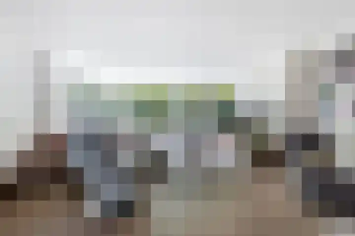 Buizerd 116 Blaricum thumbnail 8