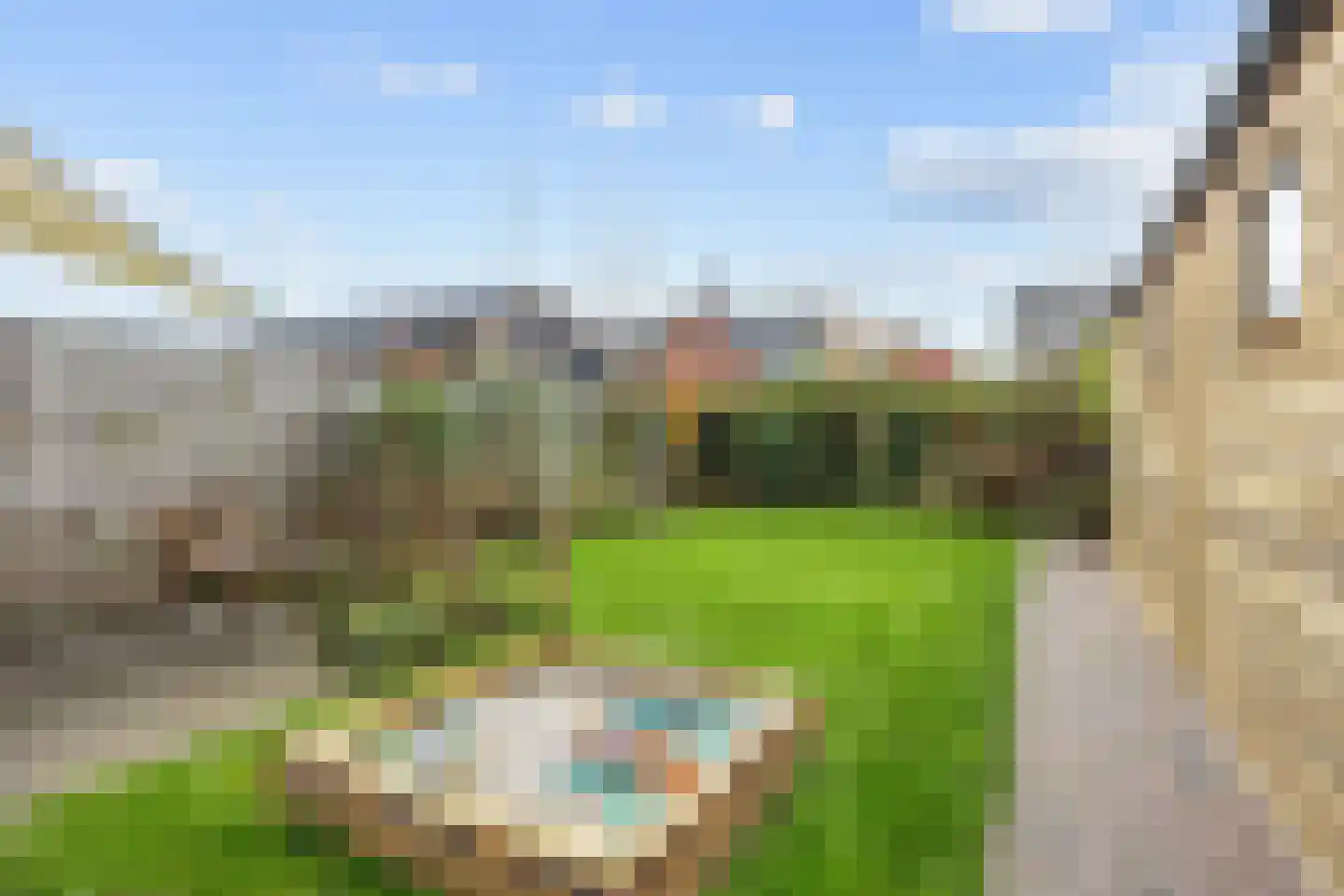 Buizerd 12 Baflo thumbnail 37