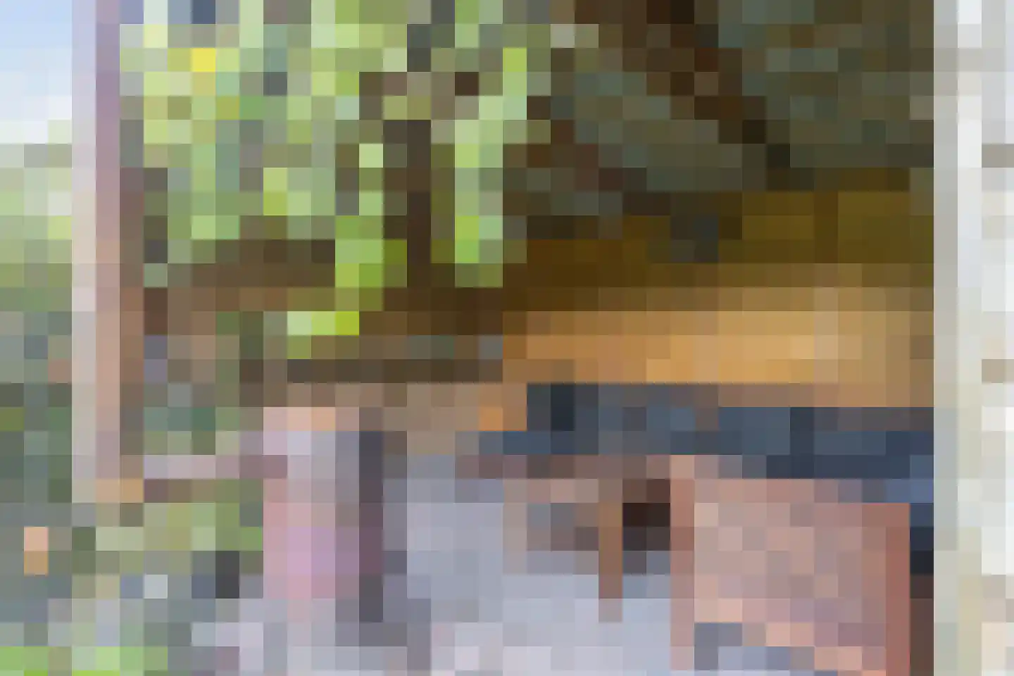 Buizerd 12 Baflo thumbnail 38