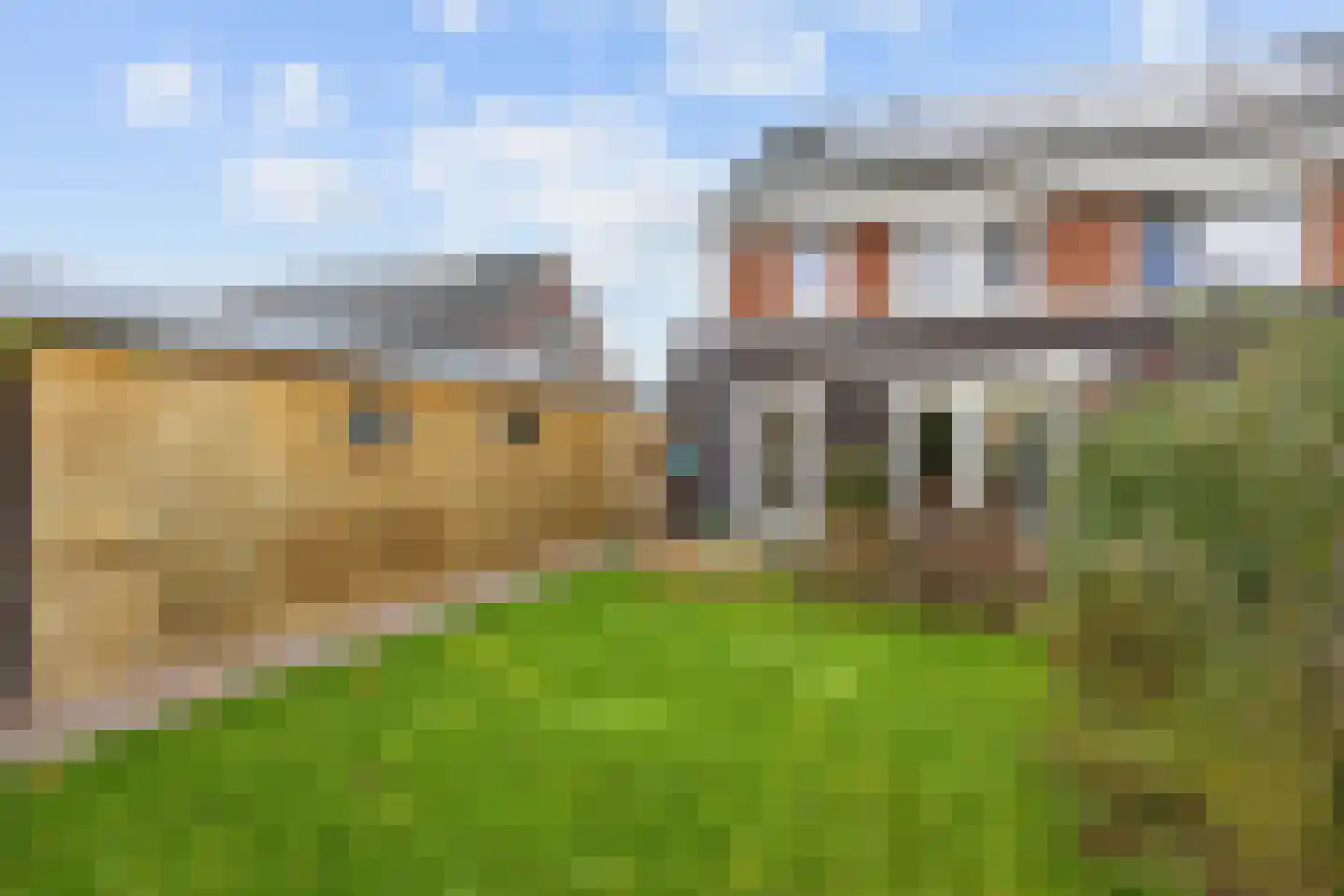 Buizerd 12 Baflo thumbnail 39