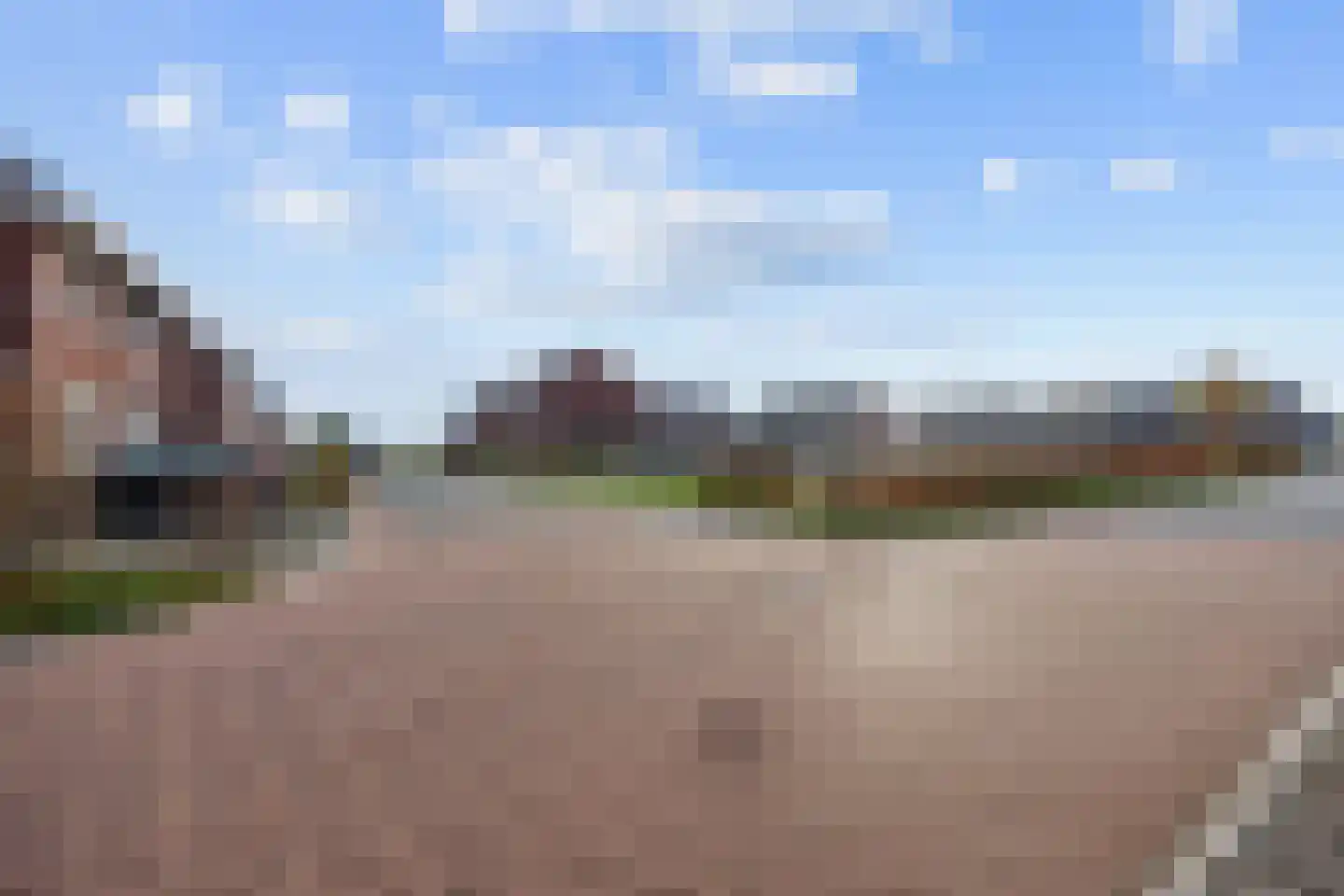Buizerd 12 Baflo thumbnail 4