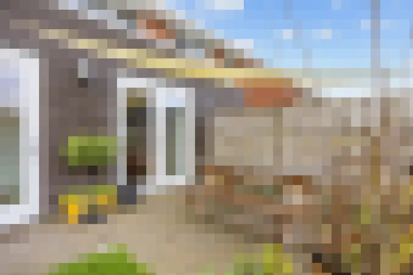 Buizerd 12 Baflo thumbnail 40