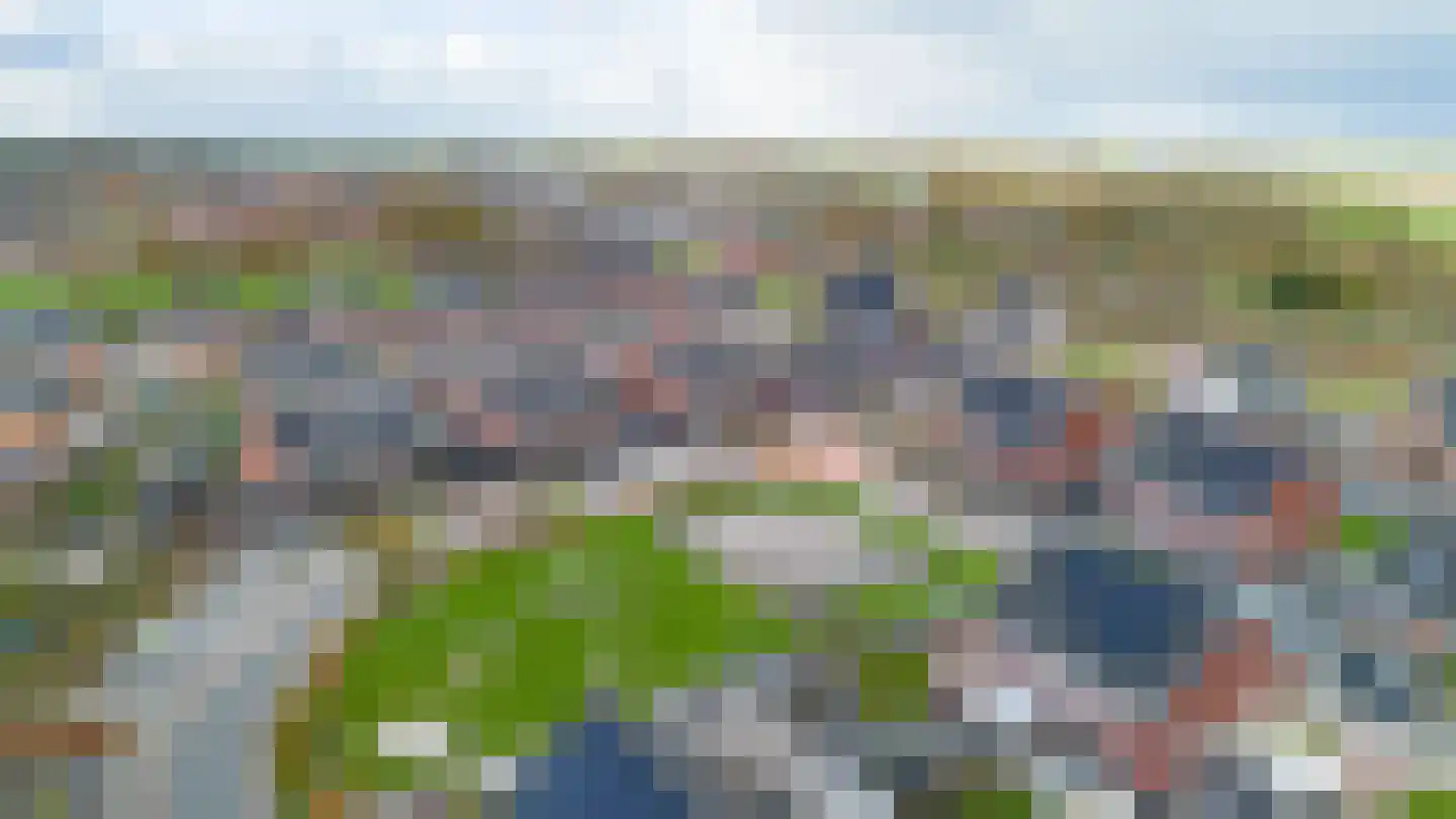 Buizerd 12 Baflo thumbnail 42