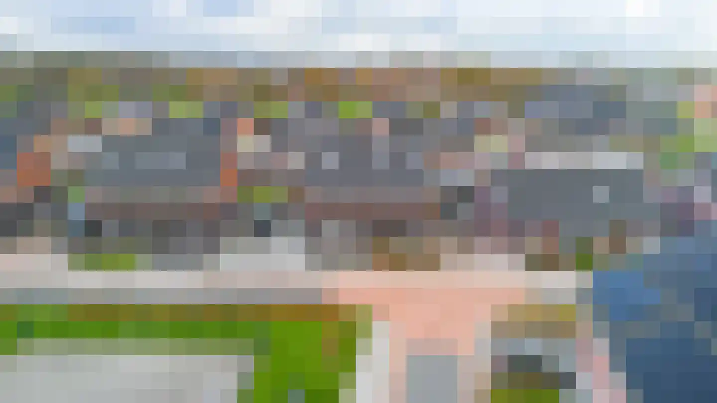 Buizerd 12 Baflo thumbnail 43