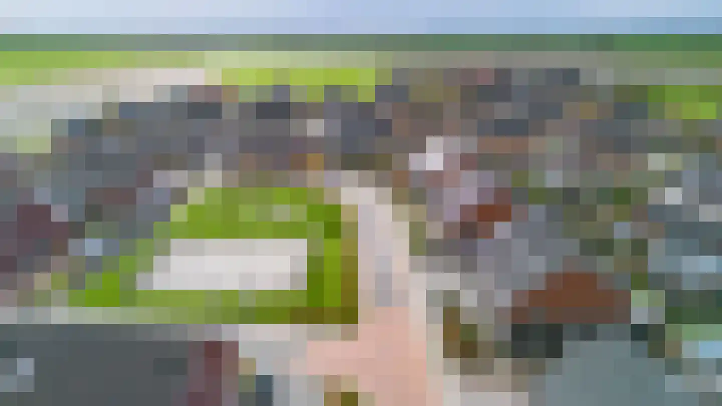 Buizerd 12 Baflo thumbnail 45