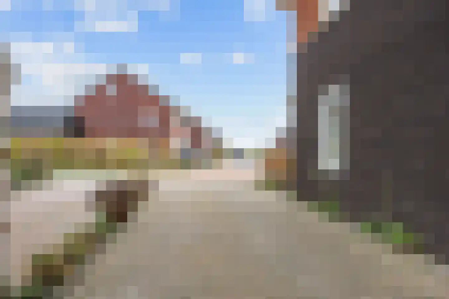 Buizerd 12 Baflo thumbnail 5
