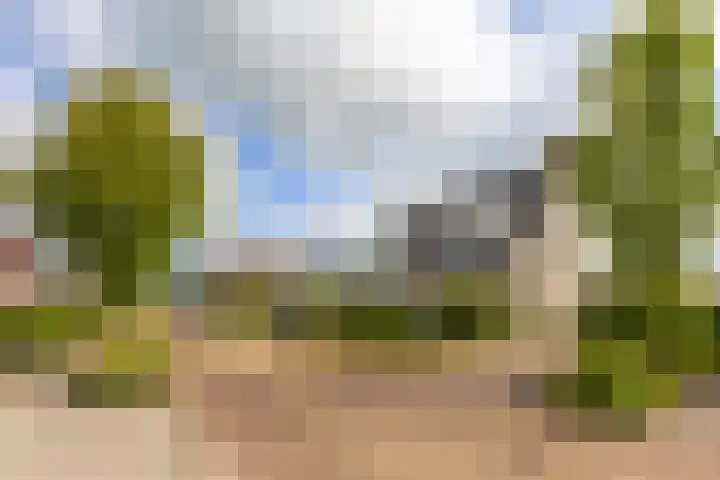 Buizerd 13 Bedum thumbnail 10