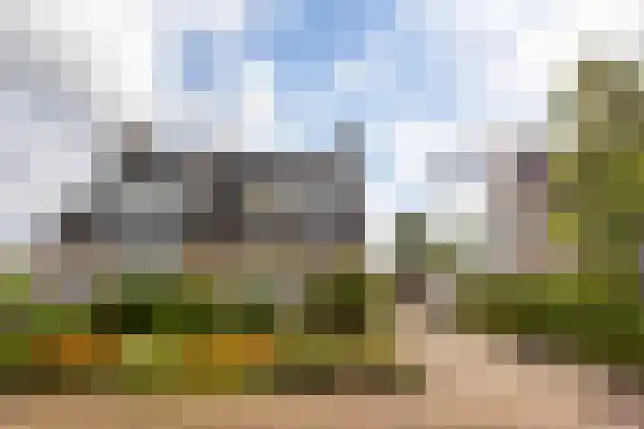 Buizerd 13 Bedum thumbnail 11