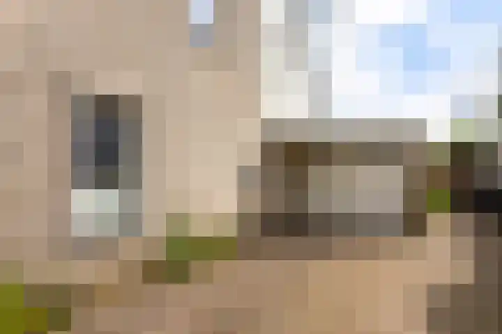 Buizerd 13 Bedum thumbnail 12