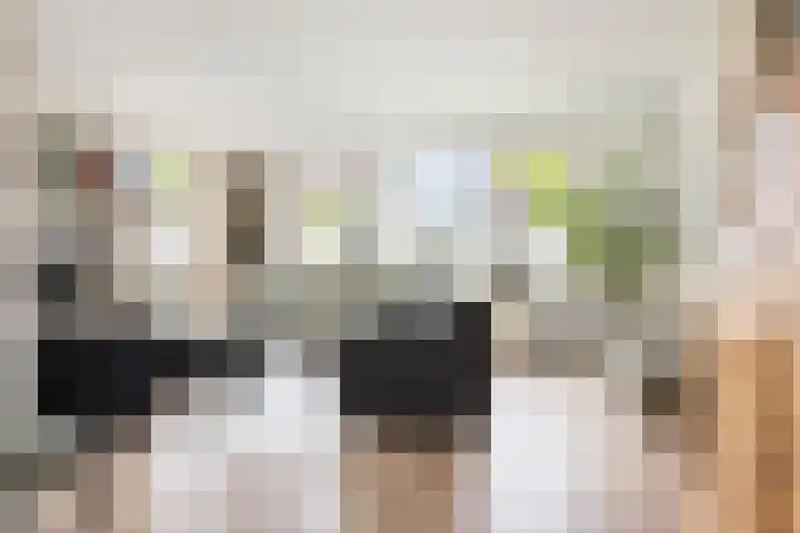 Buizerd 13 Bedum thumbnail 15
