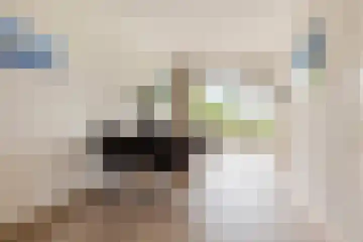 Buizerd 13 Bedum thumbnail 19