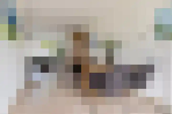 Buizerd 13 Bedum thumbnail 20