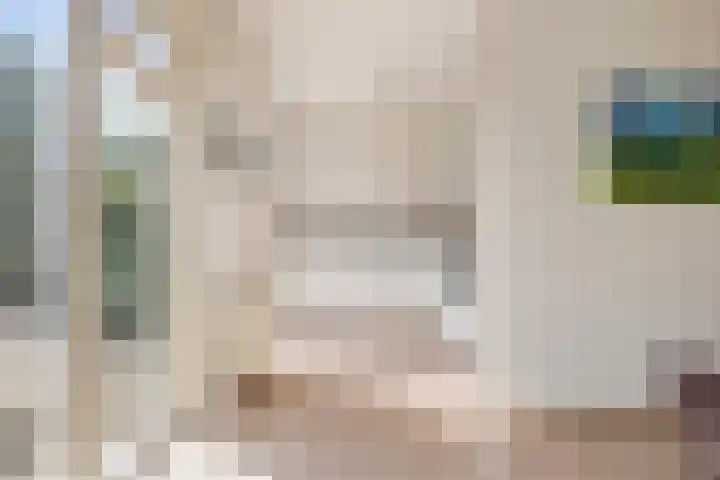 Buizerd 13 Bedum thumbnail 21