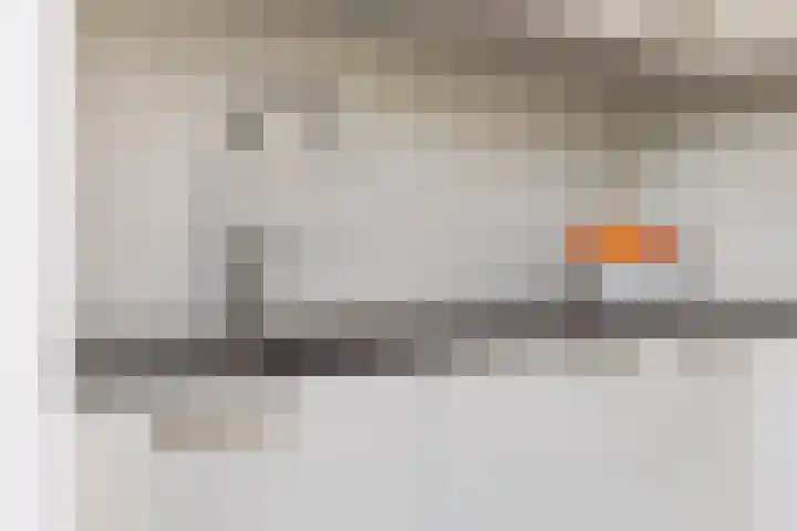 Buizerd 13 Bedum thumbnail 24