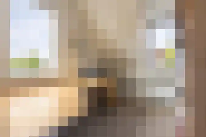 Buizerd 13 Bedum thumbnail 28